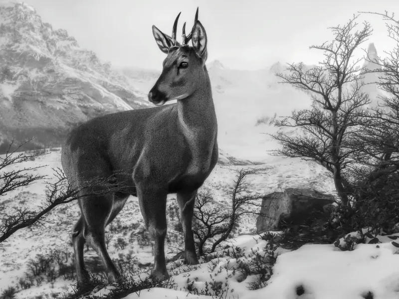 Abrió inscripciones el 7º Concurso de Fotografía de la Patagonia