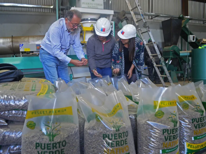 Autoridades de Energía y Medio Ambiente visitaron planta de pellet en base a Chacay