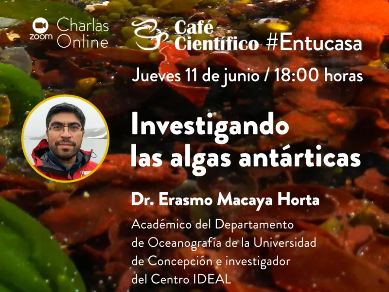Café Científico #Entucasa inicia con charla virtual sobre algas antárticas