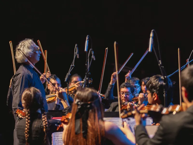 Camerata Travesía de Fundación Teatro del Lago dará sus primeros conciertos en Purranque, Fresia y Puerto Varas
