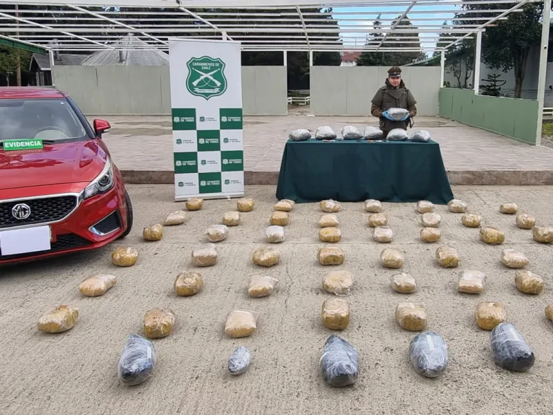 Carabineros decomisó 62 kilos de marihuana en Región de Los Lagos