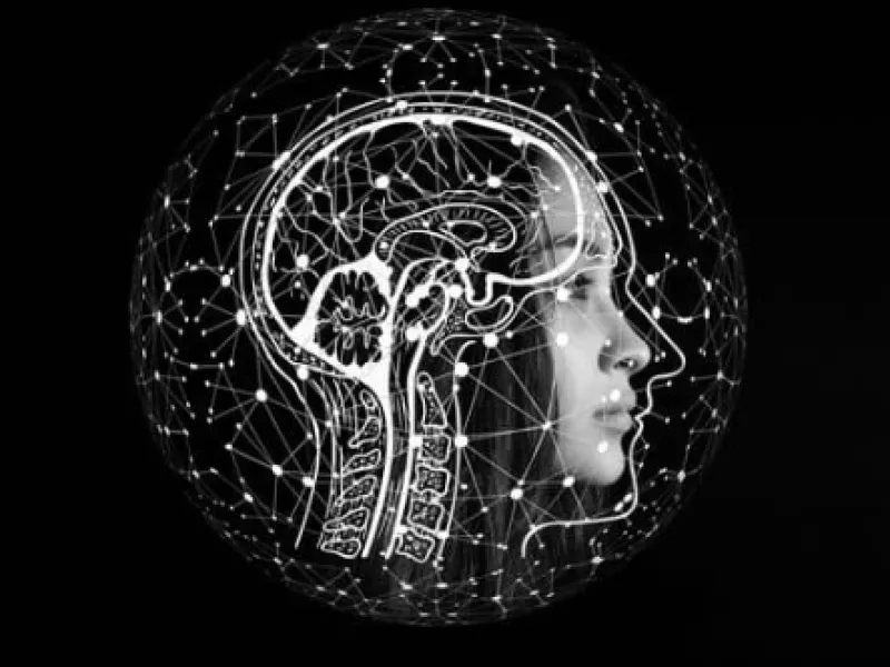 Celebración del día del cerebro: Explorando el funcionamiento de la mente neurodivergente