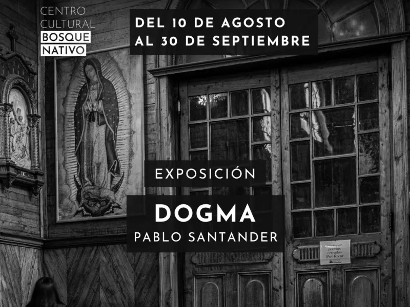 Centro Cultural Bosque Nativo celebra el Mes de la fotografía junto a Pablo Izquierdo, Alejandro Lattes y Pablo Santander