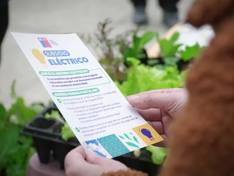 Comenzó tercer proceso de postulación al Subsidio Eléctrico en la región de Los Lagos