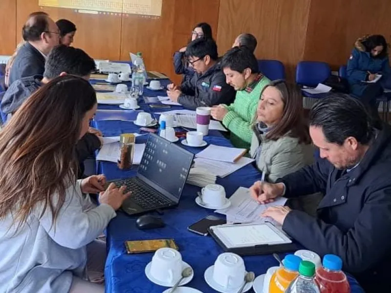 Comisión de Infraestructura del CORE Los Lagos Analiza Iniciativa de Transporte Público Eléctrico para Puerto Varas