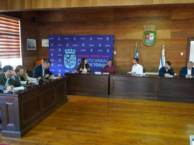 Comisión Provincial Llanquihue del CORE aborda en Puerto Varas soluciones para conexiones sanitarias y protección del lago Llanquihue