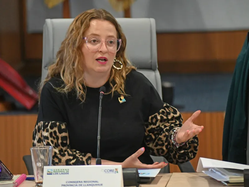 Consejera Fernández solicita avanzar en programa concreto de apoyo a mujeres víctimas de violencia intrafamiliar en la región de Los Lagos