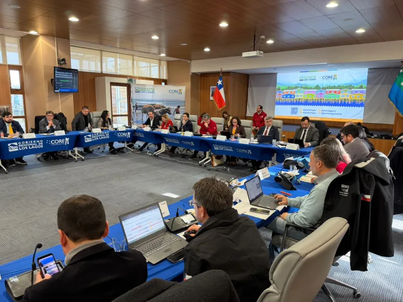 Consejo Regional aprueba programa “Los Lagos Te Cuida” de casi $3 mil millones para apoyar a personas dependientes y sus cuidadores