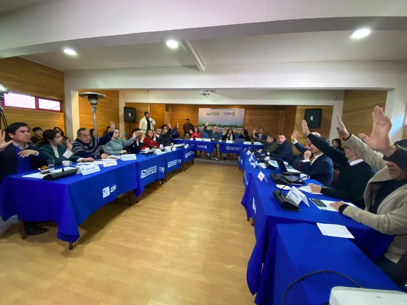 Consejo Regional de Los Lagos aprueba recursos para Congreso Internacional de Oncología