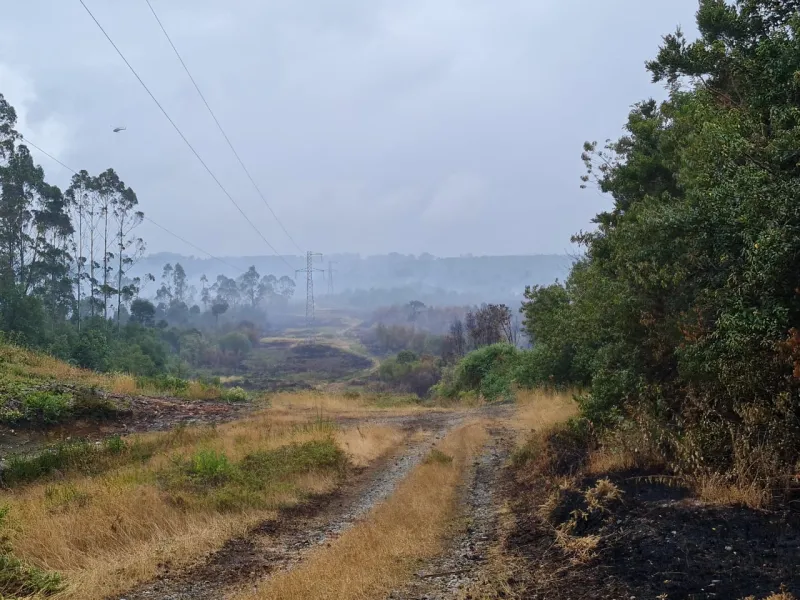 Continúa trabajo de brigadistas y maquinaria pesada para extinguir incendio forestal de Chin Chin Viejo