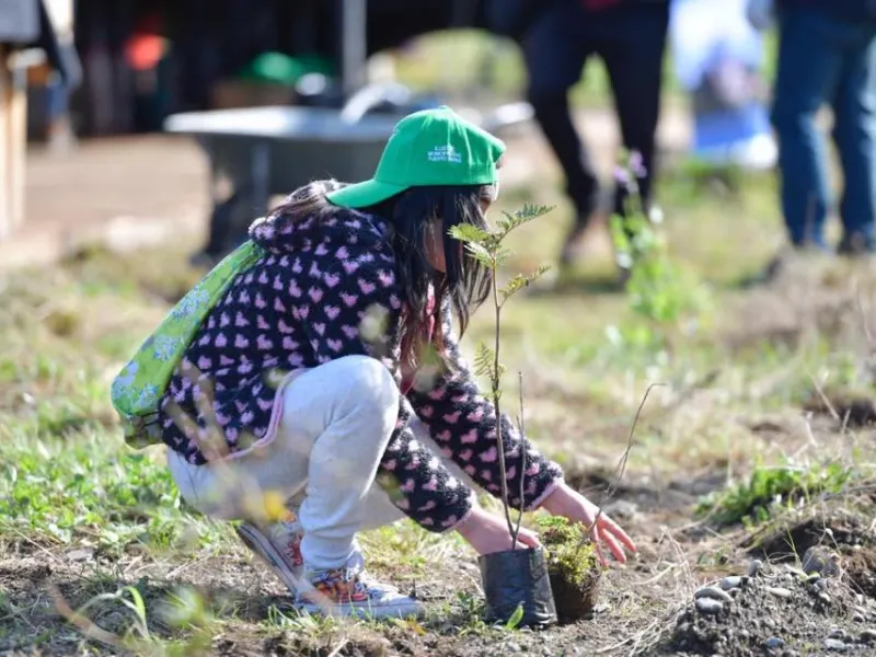 Convocan a nuevas jornadas de limpieza y mantención de Quebrada Parque: el primer viernes de cada mes