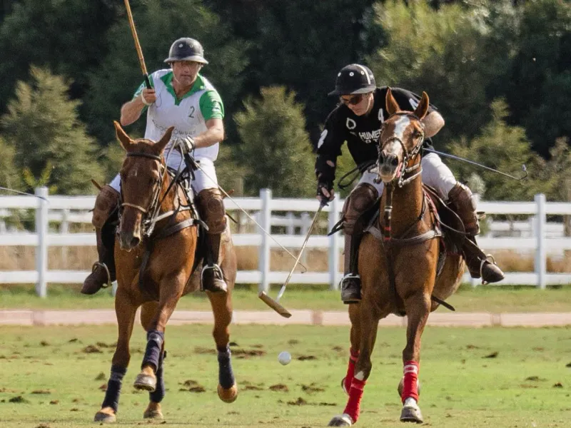 Copa El Humedal se juega este fin de semana en el Club de Polo Sur Puerto Varas
