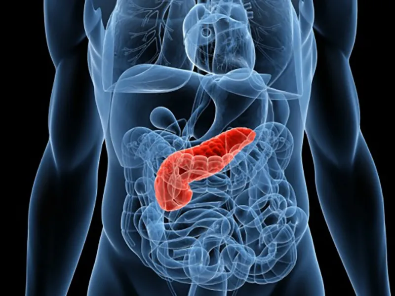 Día Mundial contra el Cáncer de Páncreas: Tabaquismo y Diabetes inciden en las cifras de cáncer de páncreas