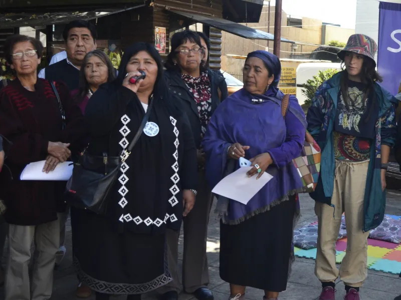  Diputada Mapuche Emilia Nuyado acusa de “racismo” al Mineduc al no aceptar la idea de hacer obligatoria la asignatura lengua Indígena