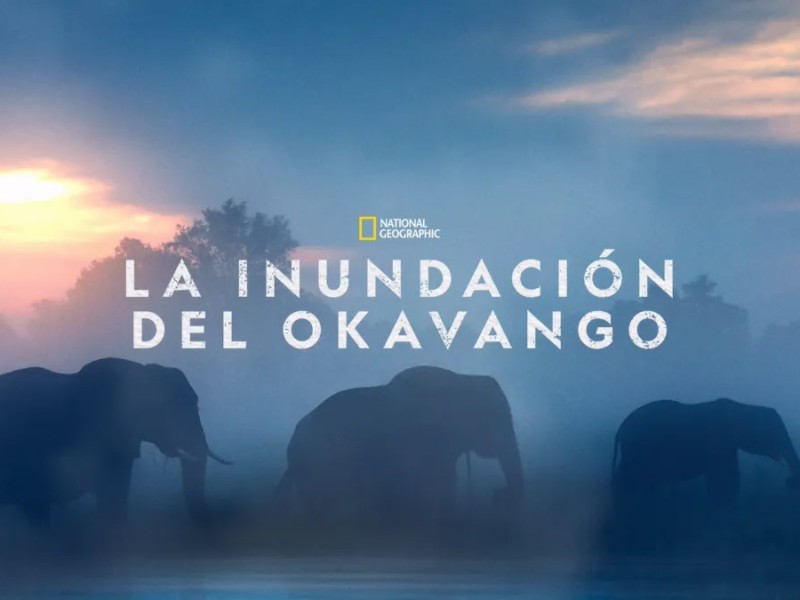 Documentales National Geographic en Disney Plus | El Heraldo Austral