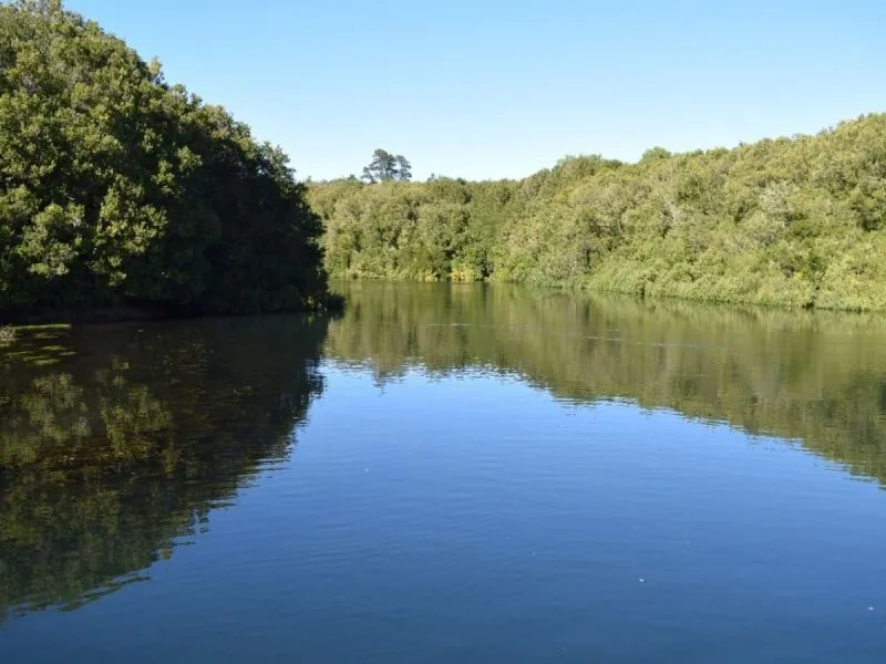 En Puerto Varas se realizará actividad de participación ciudadana para Estudio Estratégico de Cuenca de Río Maullín