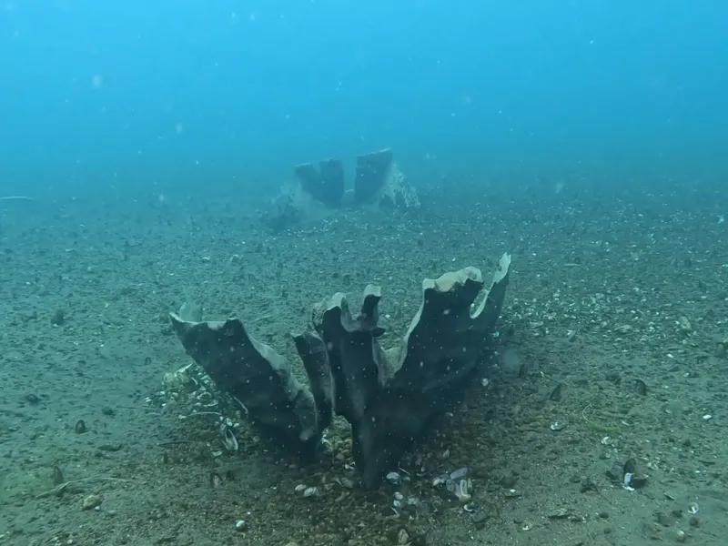 Encuentran canoa ancestral “wampo” en las profundidades del Lago Llanquihue