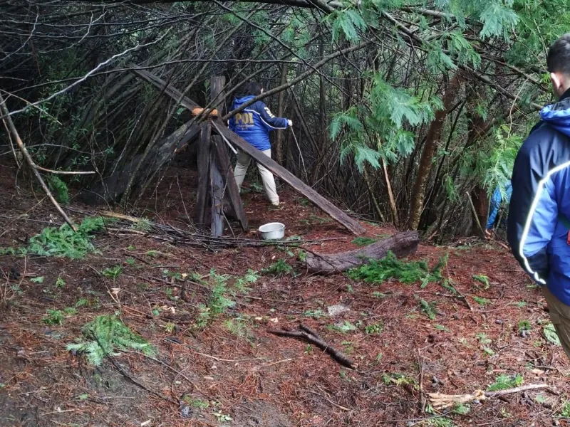 Encuentran restos de un cadáver en sector de Petrohué