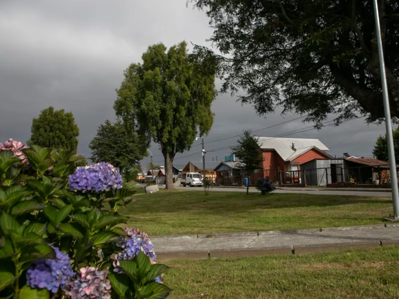Entre el 23 y 31 de agosto el municipio realizará cuatro reuniones de participación ciudadana para elaborar la Ordenanza General de Áreas Verdes y Arbolado Urbano