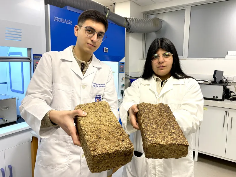 Estudiantes de ingeniería crean leña ecológica que contamina un 99% menos
