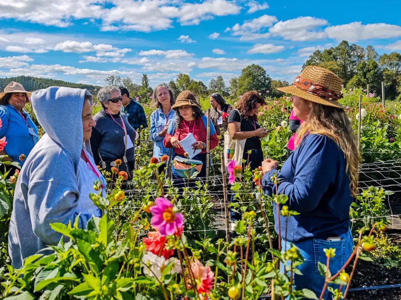 Floricultura regenerativa abre nueva oportunidad para mujeres rurales: 376 postularon a bootcamp apoyado por FIA y Embajada de Países Bajos