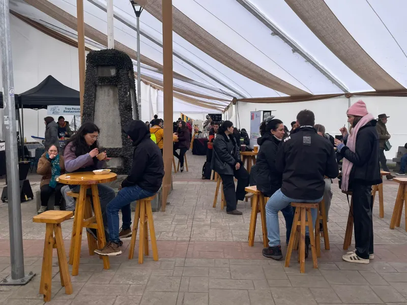 Imperdible: Segundo Festival Gastronómico de Invierno en Puerto Varas este fin de semana