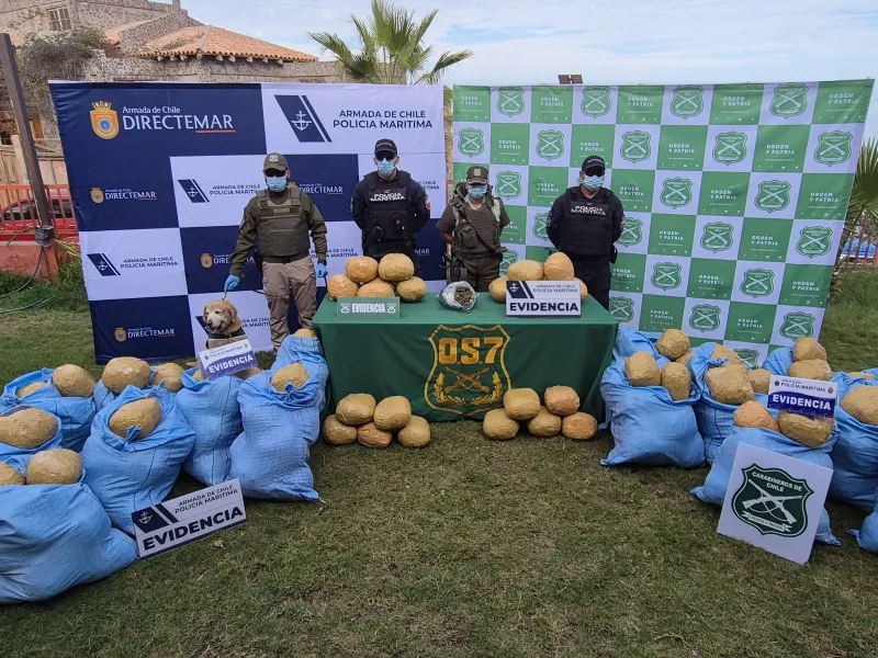 Investigación liderada por Fiscalía Regional de Los Lagos decomisa más de 300 kilos de marihuana