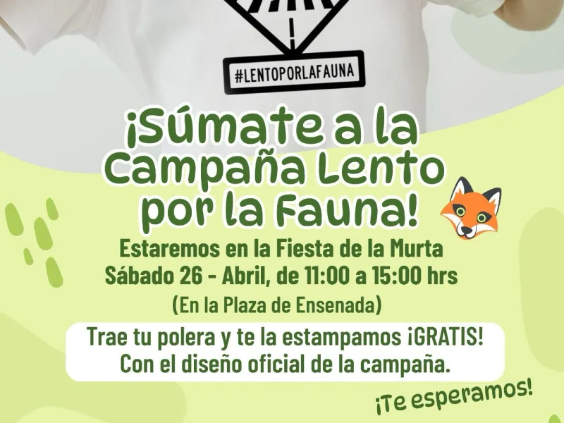 "Lento por la Fauna": Puerto Varas se une para proteger su biodiversidad