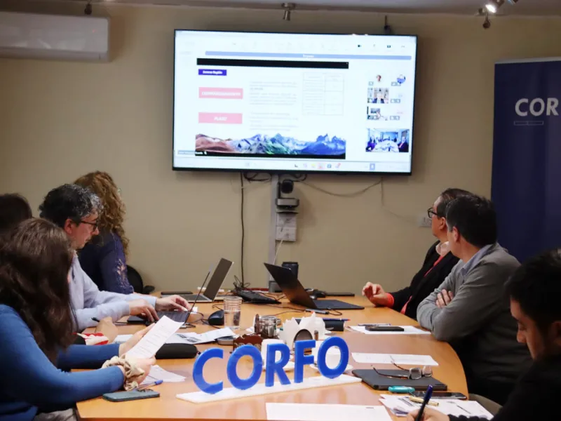 Los Lagos impulsa seis iniciativas de innovación por $651 millones con foco en soluciones para la acuicultura