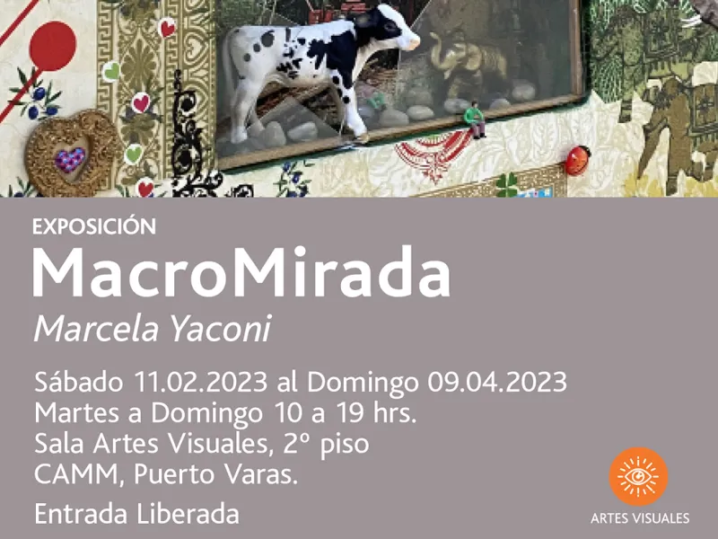 “MacroMirada” el mundo de la artista  Marcela Yaconi que llega al Centro de Arte Molino Machmar