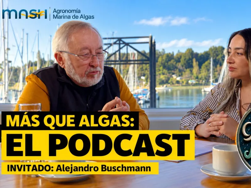 Más que Algas, el podcast:  Referente internacional en ciencias del mar Alejandro Buschmann protagoniza segundo capítulo