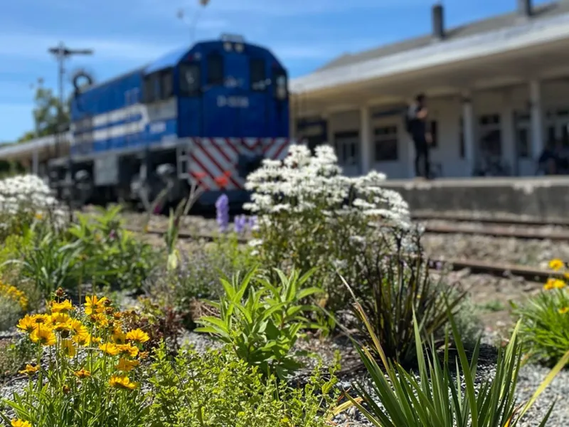 Parque Estación presenta la segunda etapa del Corredor de Flores y Polinizadores en la Estación de trenes de Puerto Varas