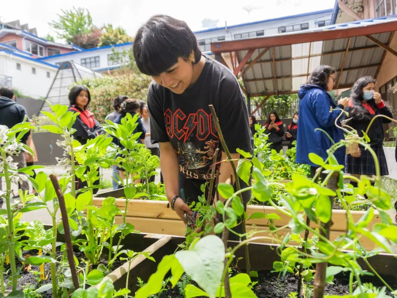 Patio Vivo Cultivable consolida red de innovación educativa entre liceos TP de Los Lagos