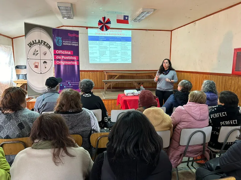 Personas mayores de Puerto Varas se suman a la promoción de la salud mental a través del proyecto Küme Mongen