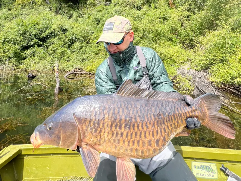 Pescador logró capturar un pez Carpa de 22 kilos en Puerto Varas