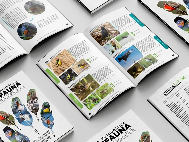 Próximamente se lanzará la "Guía Fotográfica de Avifauna del Centro y Sur de Chile" donde 12 de los autores son de la región de Los Lagos y 3 de ellos de Puerto Varas
