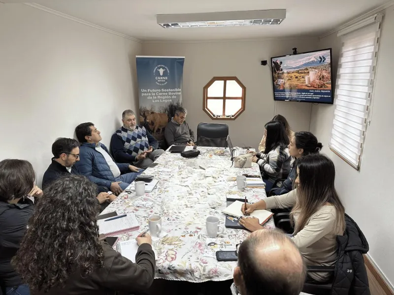 Sector bovino del sur proyecta su desarrollo con mirada de largo plazo
