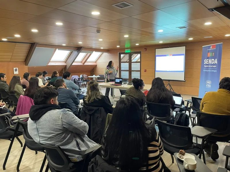 SENDA Los Lagos promueve prácticas innovadoras en el tratamiento por consumo problemático de alcohol y otras drogas