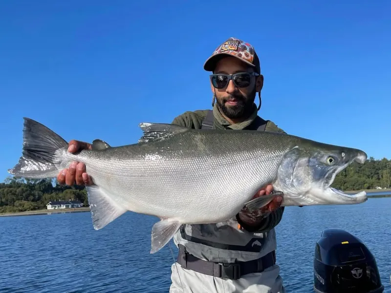 Truchas arcoíris gigantes en el Lago Llanquihue: cuando una trucha puede parecer un salmón coho