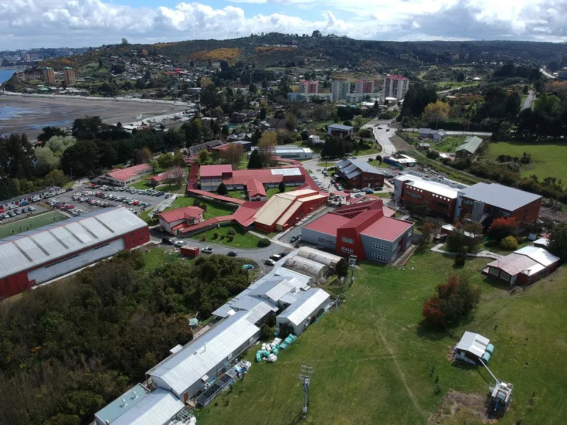 UACh anuncia medidas para inicio de año académico 2020