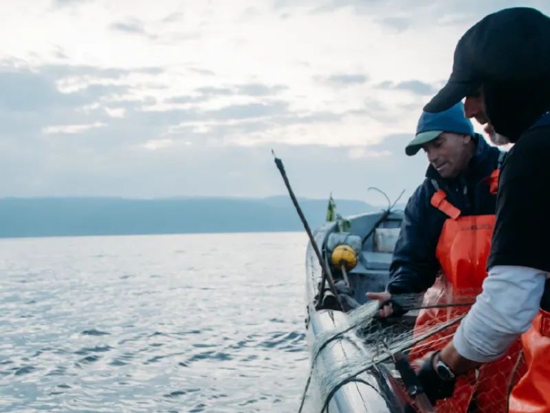WWF Chile: nueva Ley de Pesca es clave para enfrentar crisis de los recursos pesqueros y seguridad alimentaria