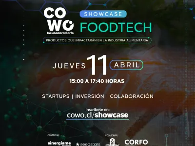 10 startups de la zona participarán en el primer showcase de Cowo Incubadora Corfo Los Lagos