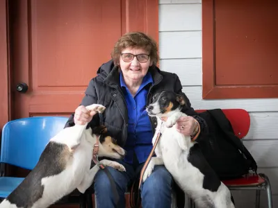 200 Mascotas fueron Esterilizadas en los Primeros Operativos Gratuitos de la Municipalidad de Puerto Varas