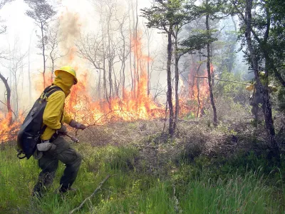 622 Hectáreas fueron afectadas por incendios forestales en esta temporada