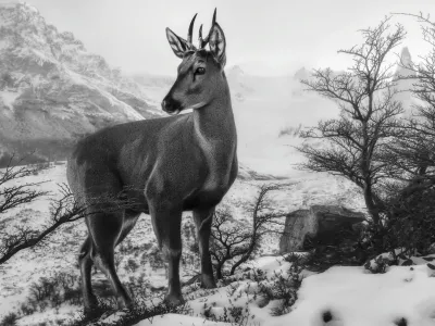 Abrió inscripciones el 7º Concurso de Fotografía de la Patagonia