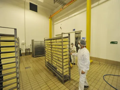 Acuerdo de Producción Limpia promueve la sustentabilidad  de los productos lácteos 