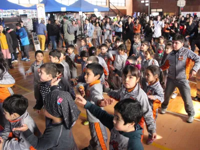 Alumnos de Frutillar participaron en la Feria de Promoción de Actividad Física y Deporte realizada por Mindep