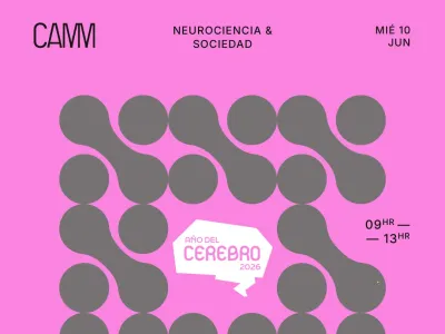 Año del Cerebro, Encuentro Zona Sur: escuchemos lo que la neurociencia puede aportar a nuestro bienestar cotidiano
