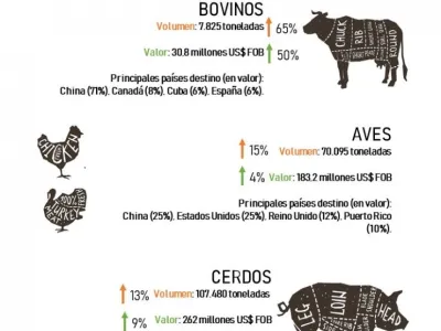 Aumentaron las exportaciones de carnes de cerdo, ave y bovino en el primer semestre