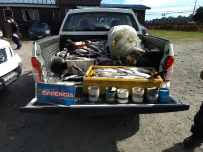 Autoridad Marítima y Sernapesca realizan incautación de Salmón Chinook en Lago Llanquihue